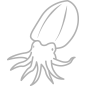 墨鱼