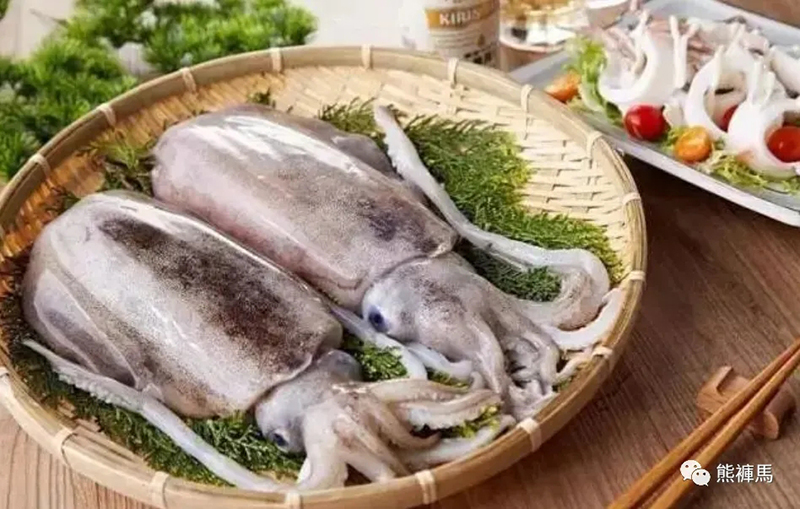 揭秘|墨鱼汁还有这么多功效啊